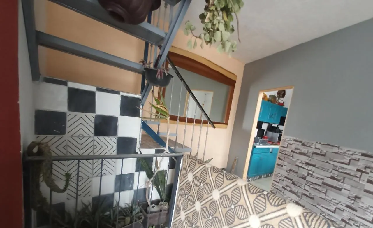 Bugambilias Departamentos Lukasa Home Guadalajara